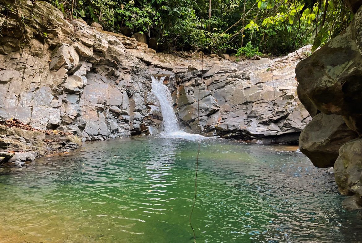 JUNGLE DREAMS FARM: WHERE NATURE MEETS SERENITY – 20 ACRES